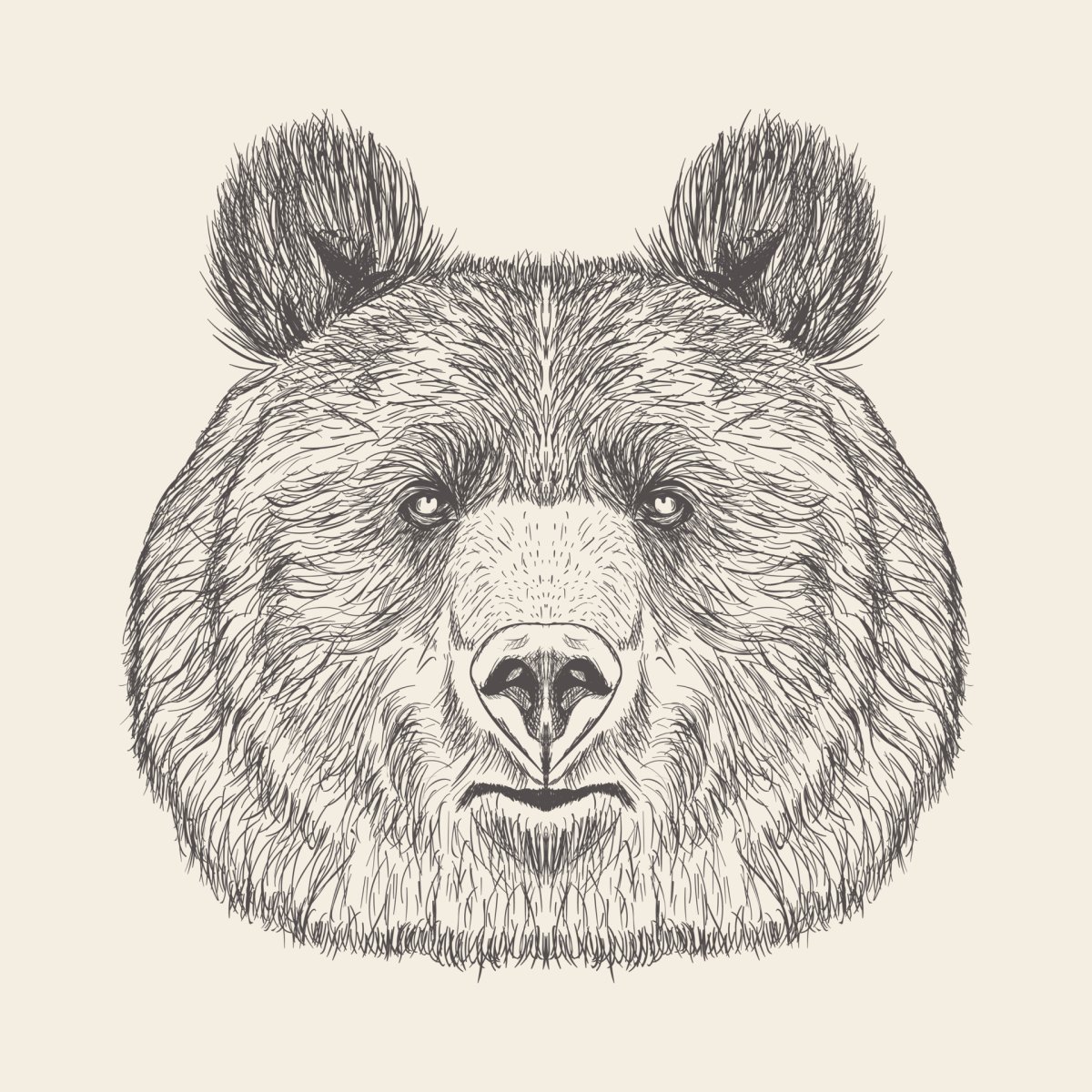 Морда медведя