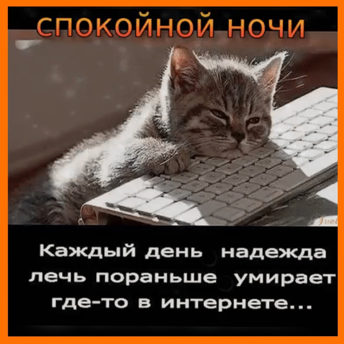 Винни пух и день забот