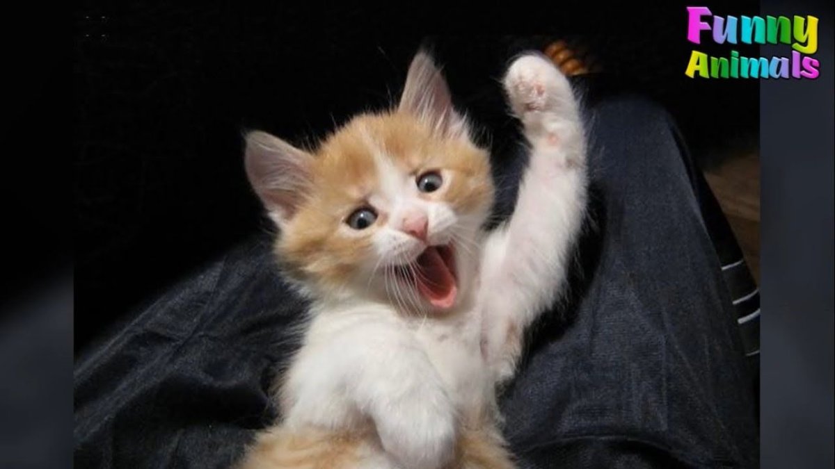 Поздравления с четвергом прикольные