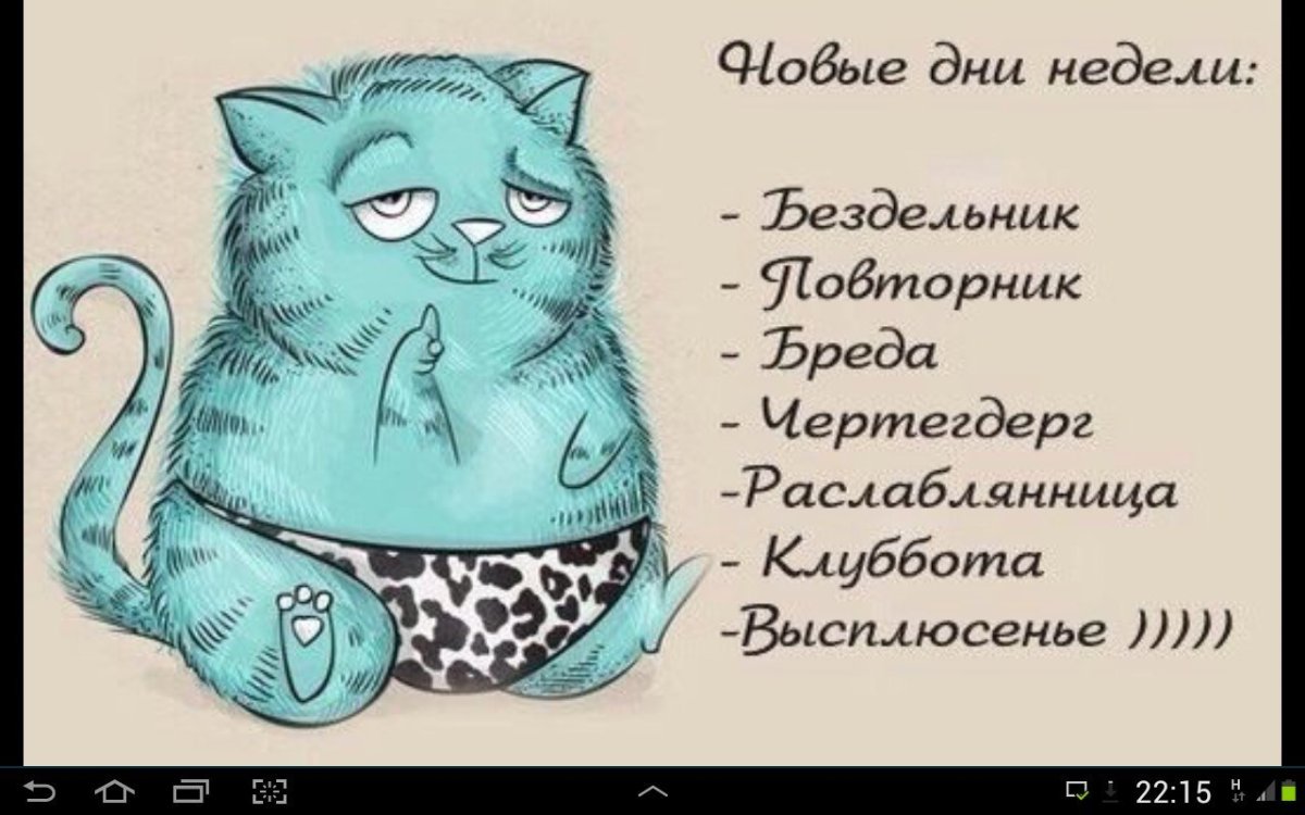 Милые котики для поднятия настроения