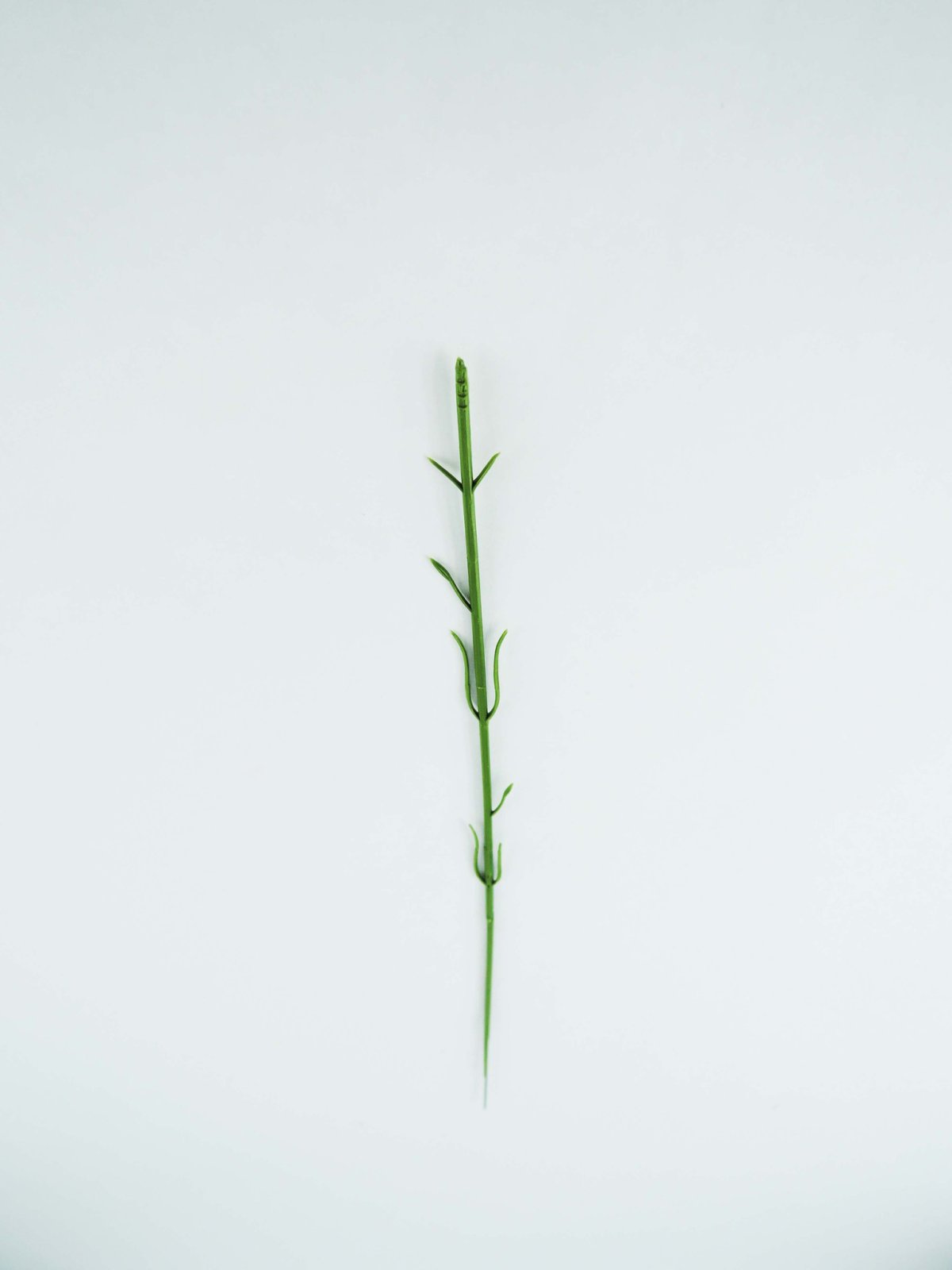 Цветок без стебля