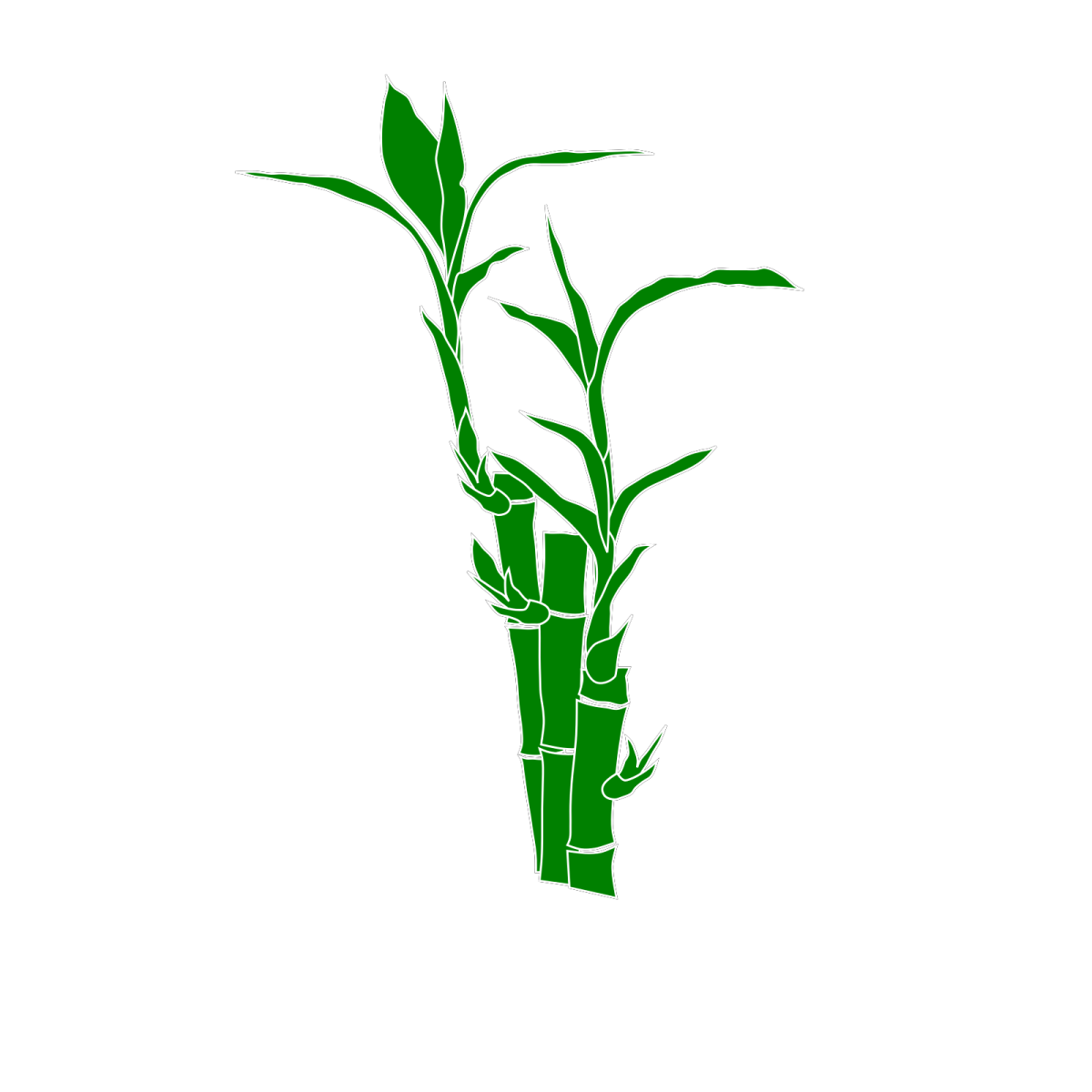 Бамбук svg