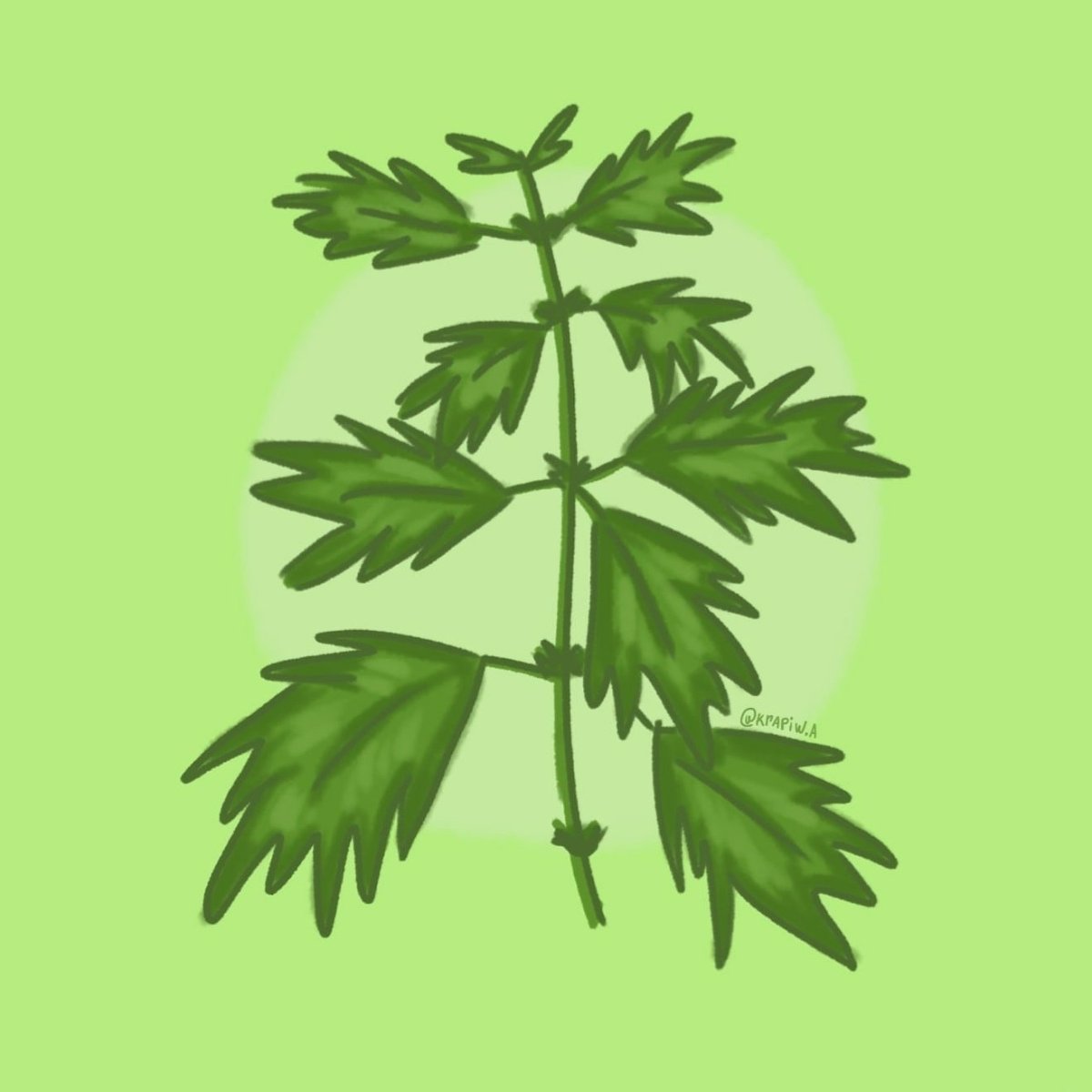 Крапива рисунок для детей