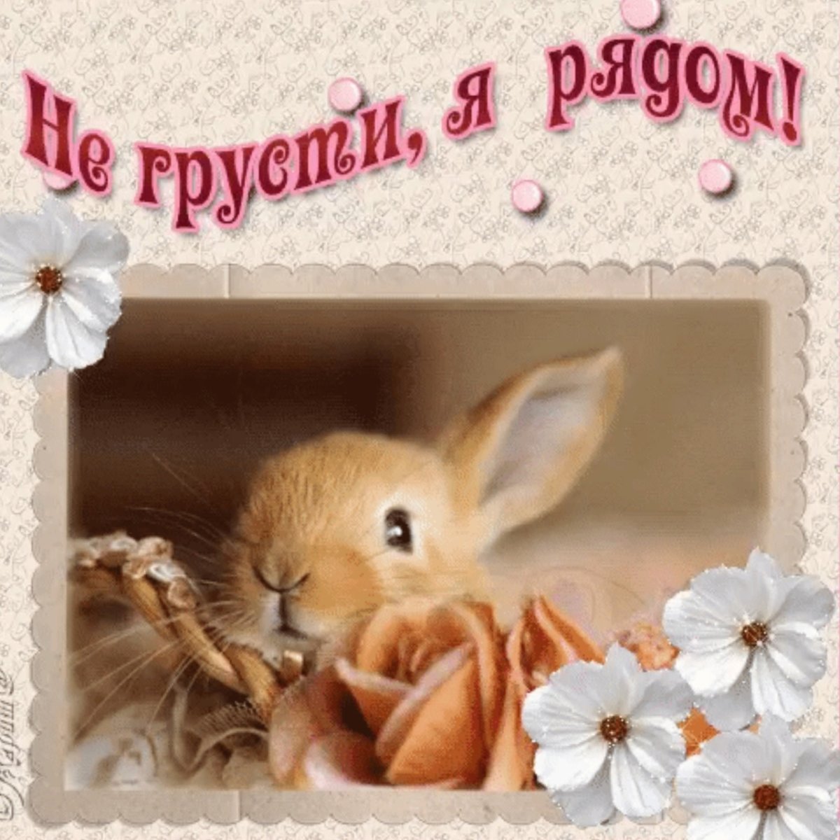 Открытки улыбнись