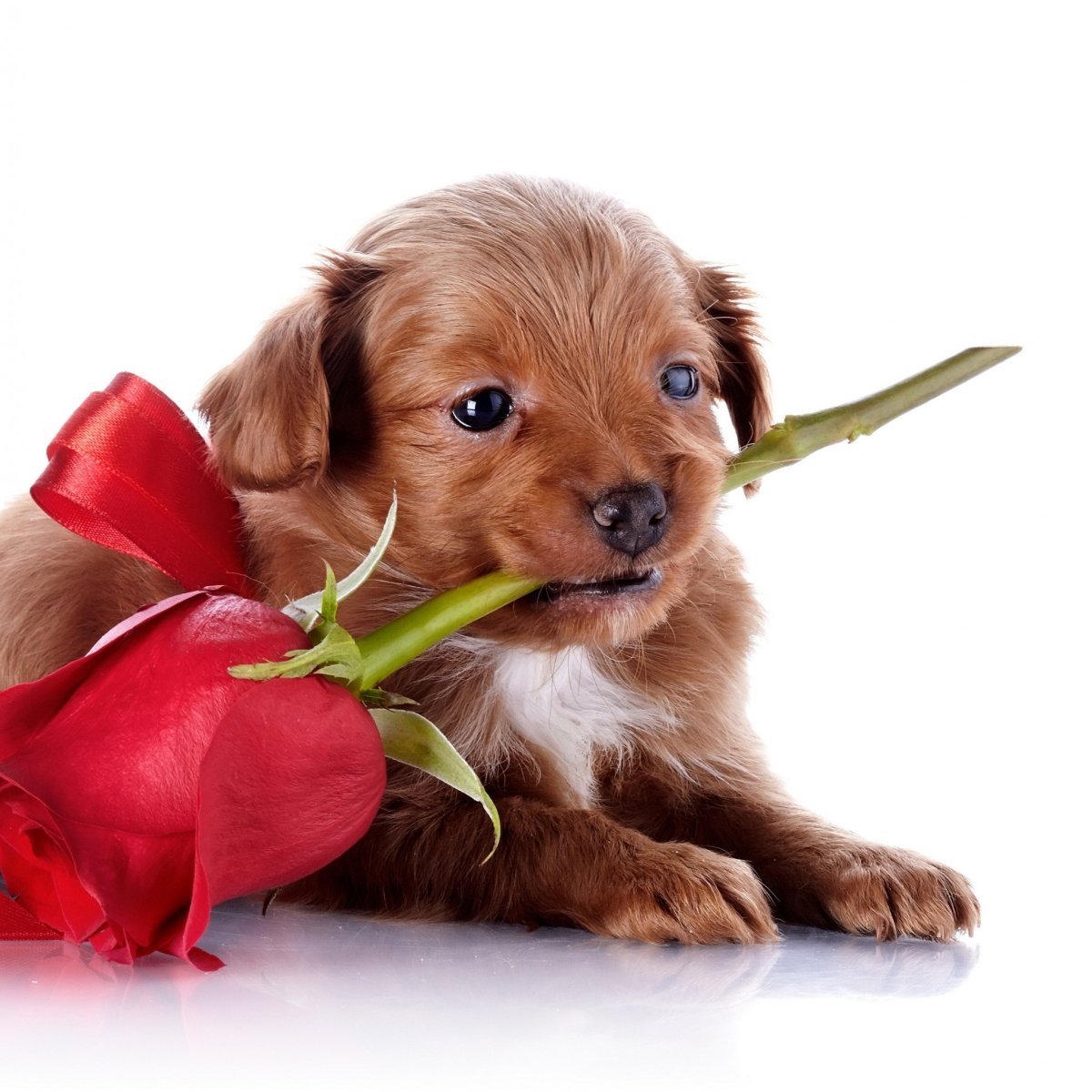 Пикчи чтобы не грустить