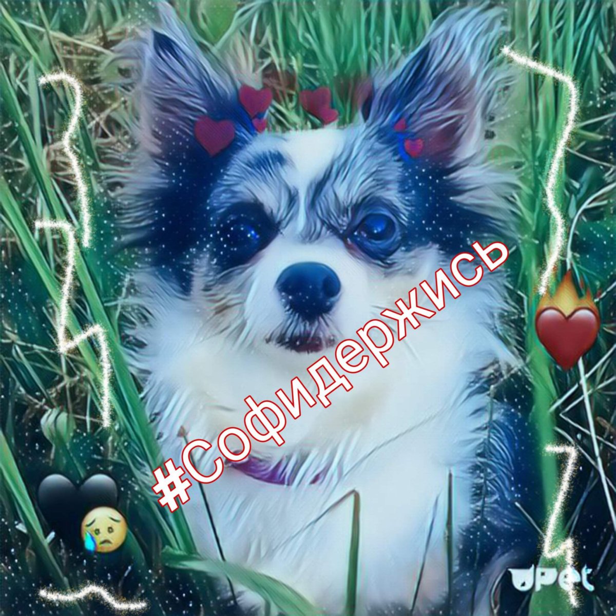 Мэджик Фэмили игрушка