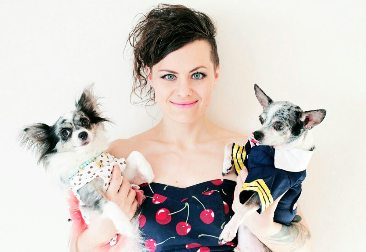 Чихуахуа Софи