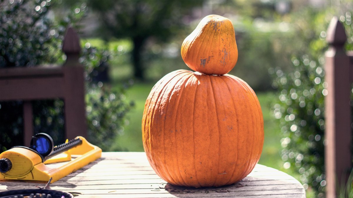 Агнеш Балинт "Изюмка и Гном"