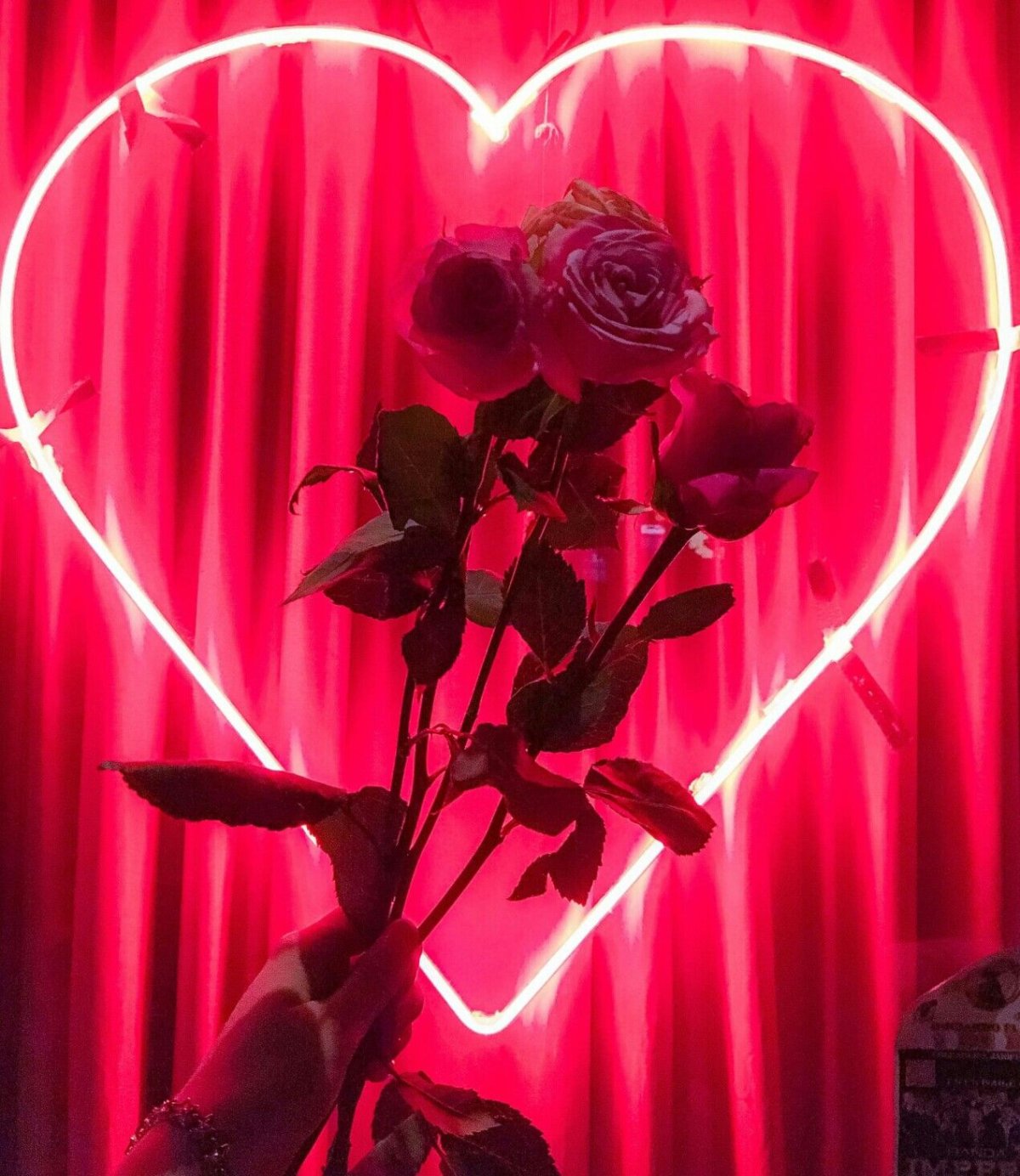 Фиолетовые книги Эстетика