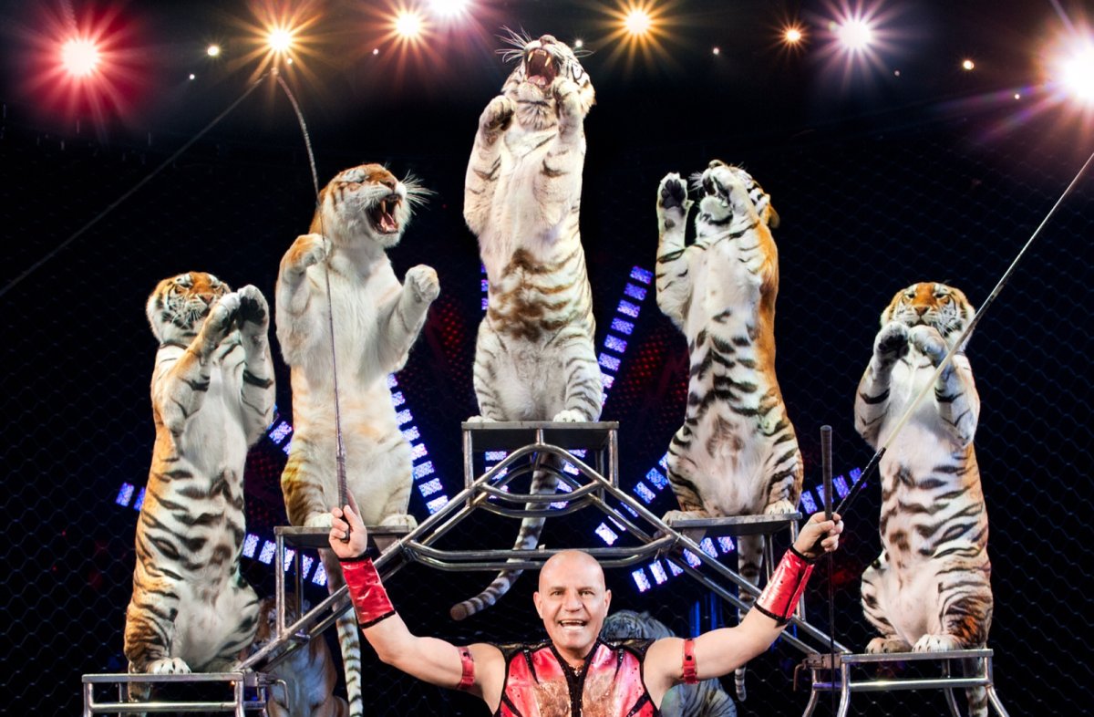 Цирк с животными
