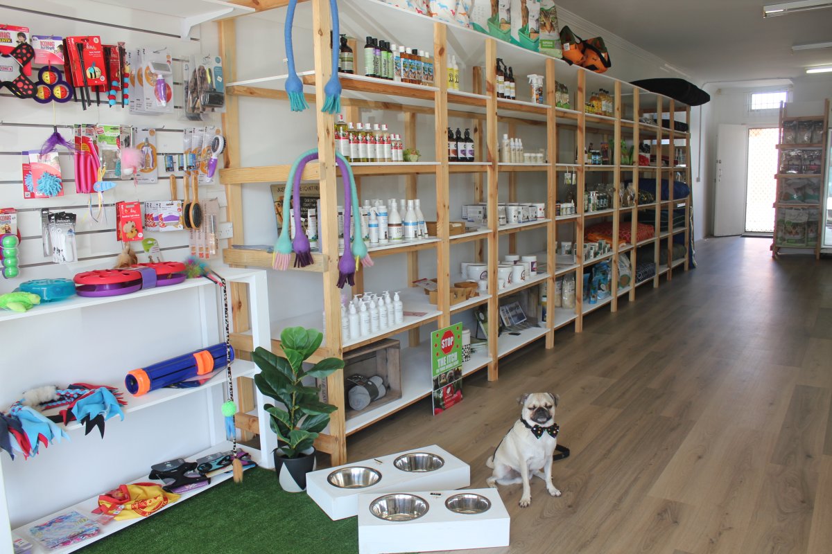 Зоомагазин животные