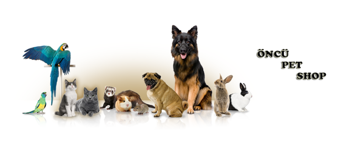 Зоомагазин ассортимент