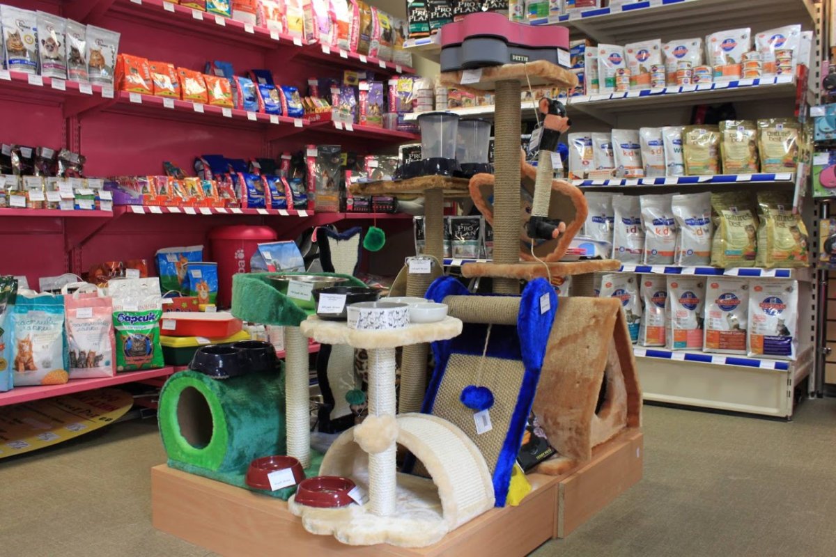 Товары для животных баннер