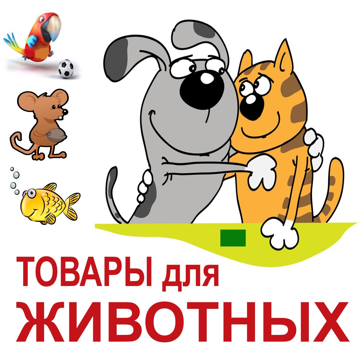 Зоомагазины интересные