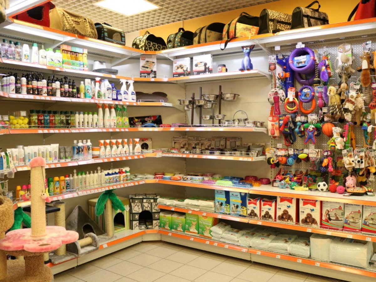 Нарисовать зоомагазин