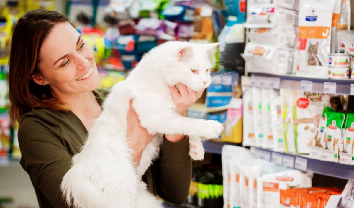 Маленький зоомагазин / Littlest Pet shop (2012)