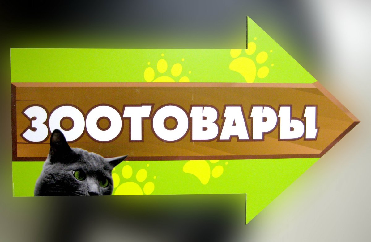 Товары для животных реклама