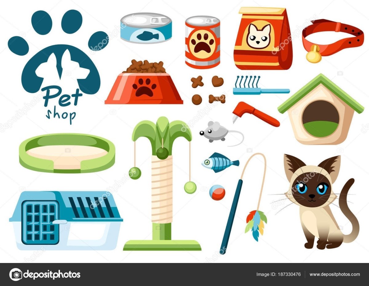 Прилавок зоомагазина