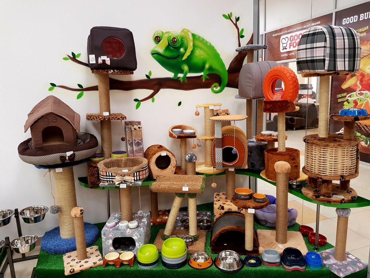 Лемур зоомагазин Мурино