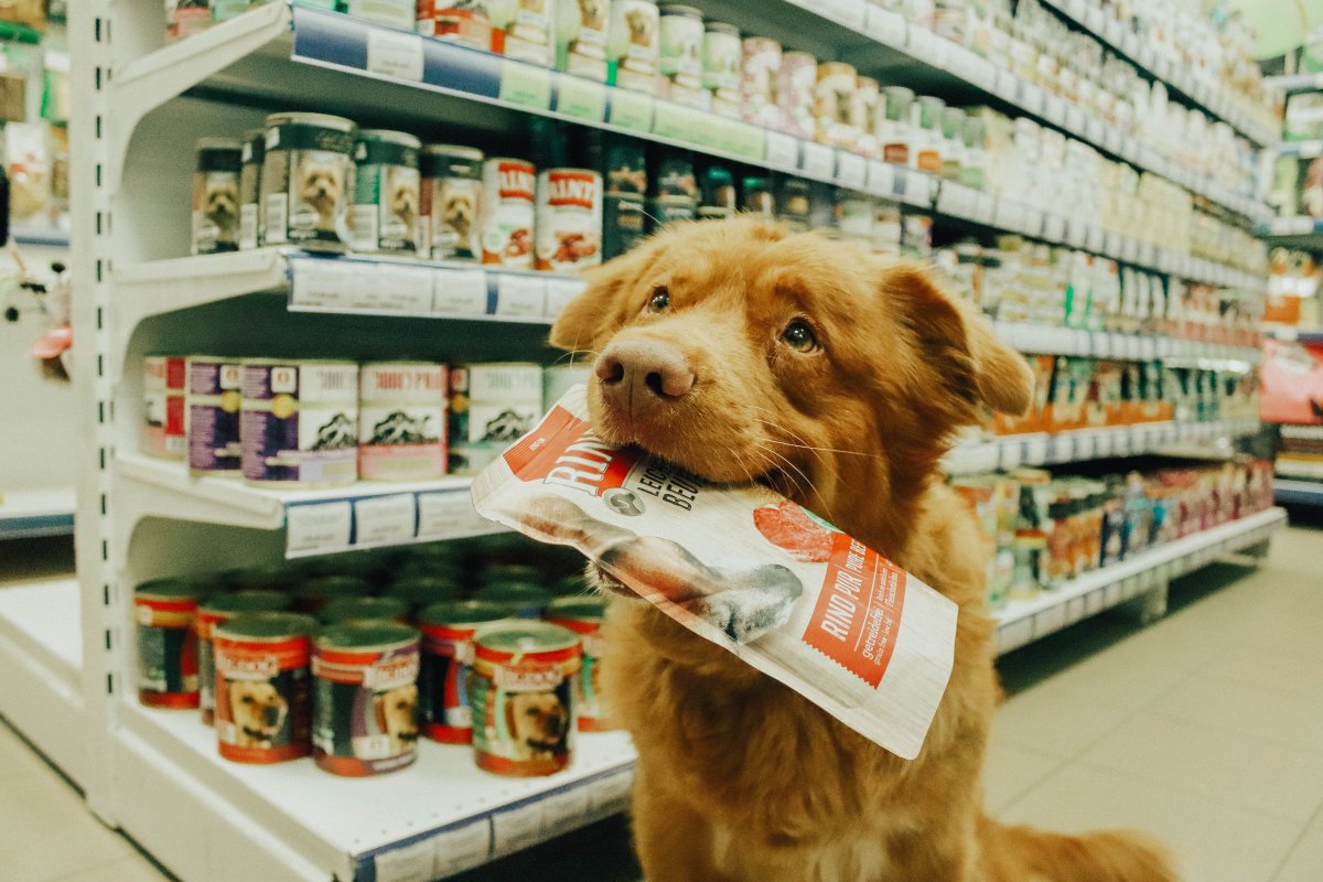 Американские зоомагазины