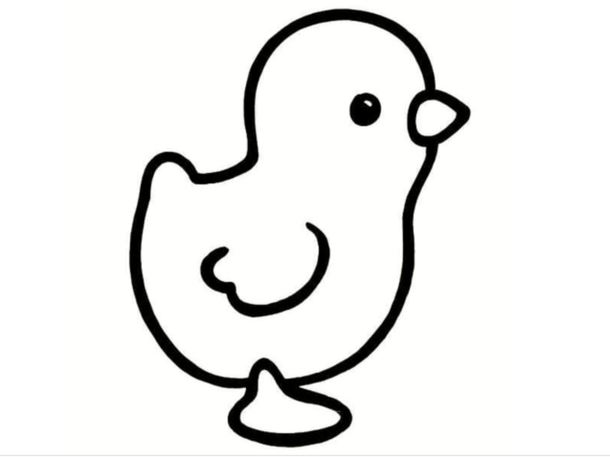 Цыпленок. Раскраски