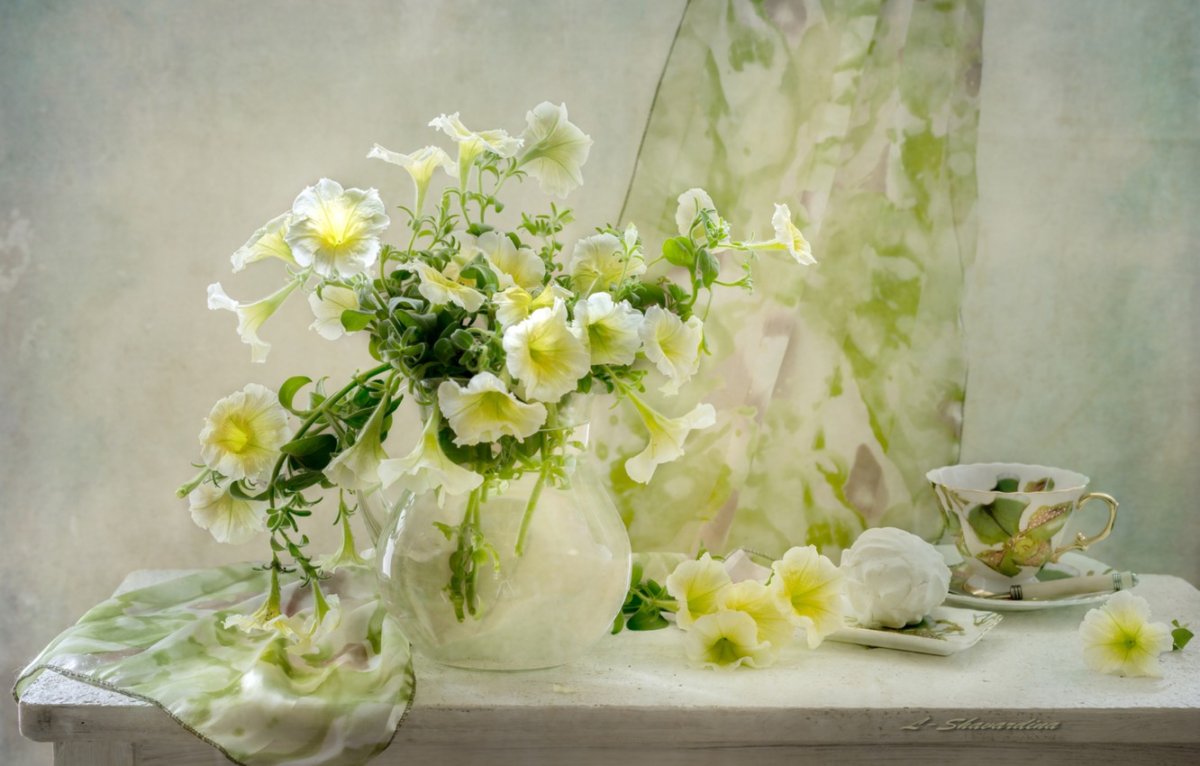 Натюрморты. Jolanta Brigere