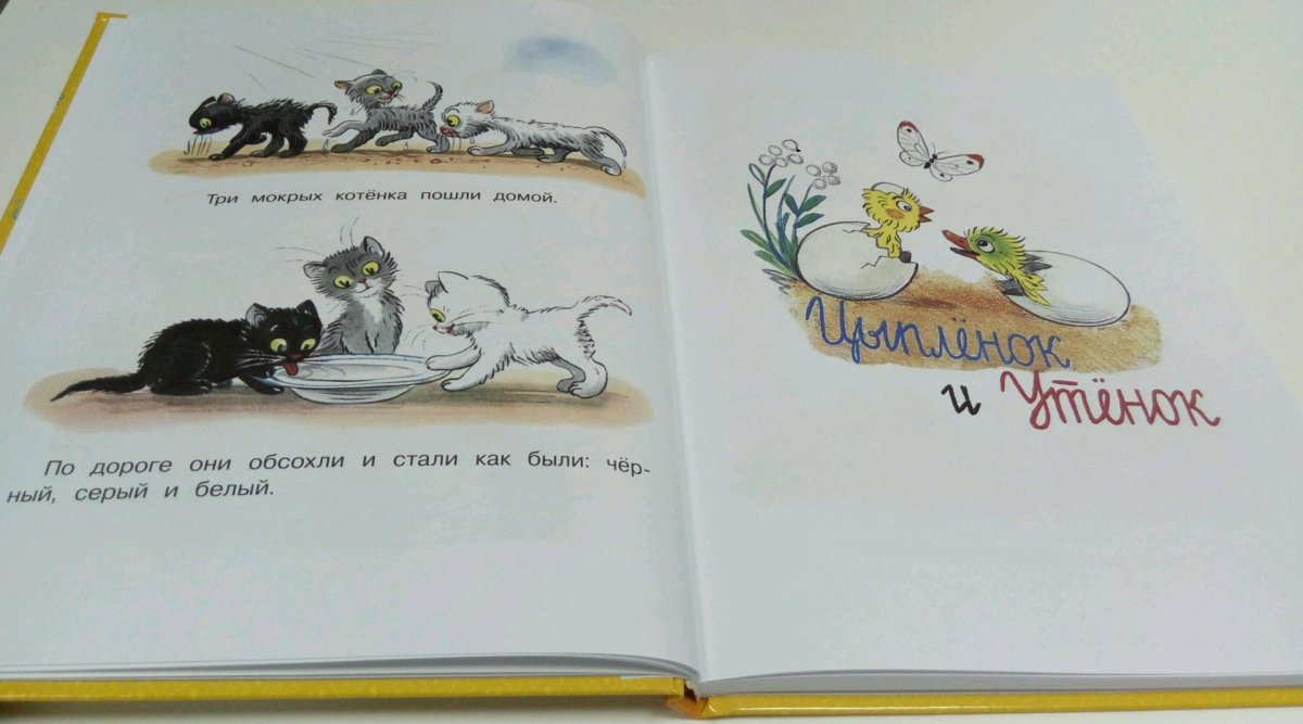 Книги которые иллюстрировал Сутеев