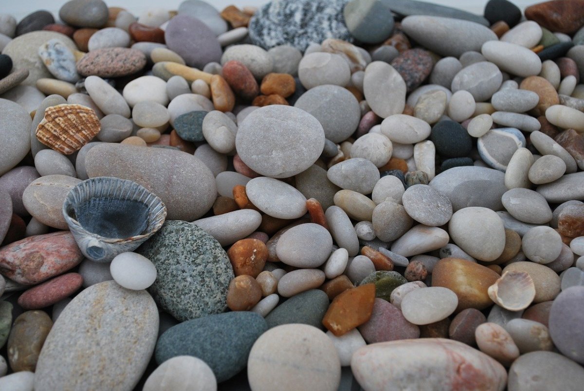 Морские камушки и ракушки