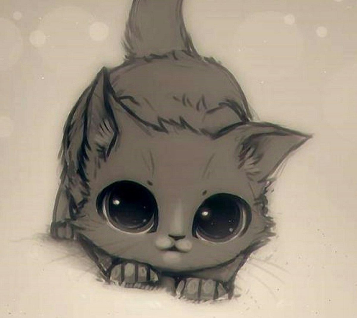 Картинки котят для срисовки