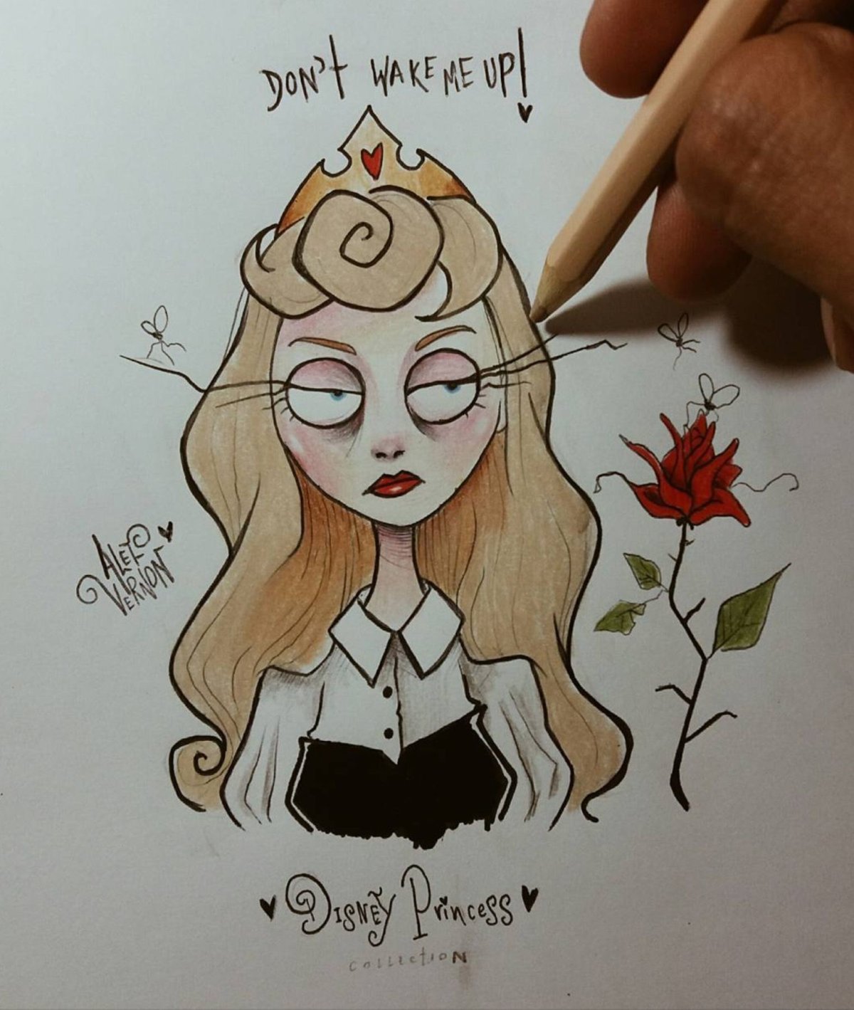 Black Fury портреты Дисней