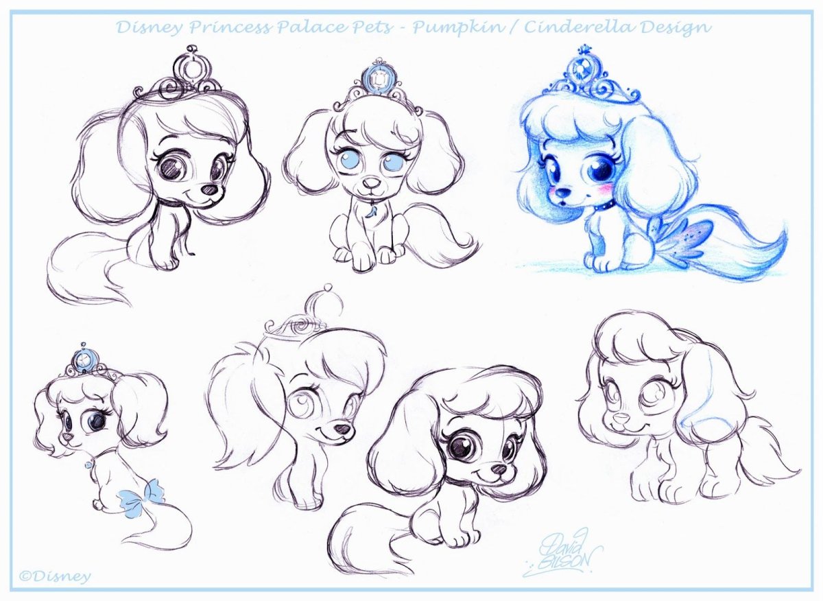 Бель срисовка принцесса Белль