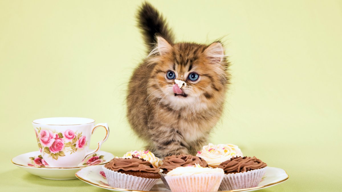 Мультяшки животные для детей