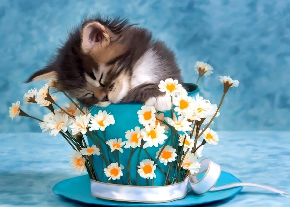 Поправляйся мишки Тедди