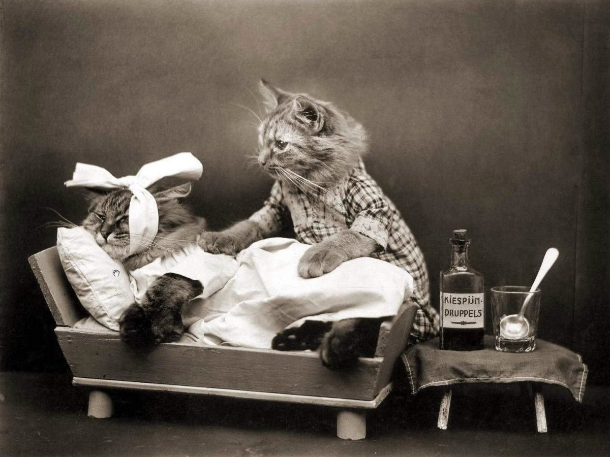 Смешные рисунки