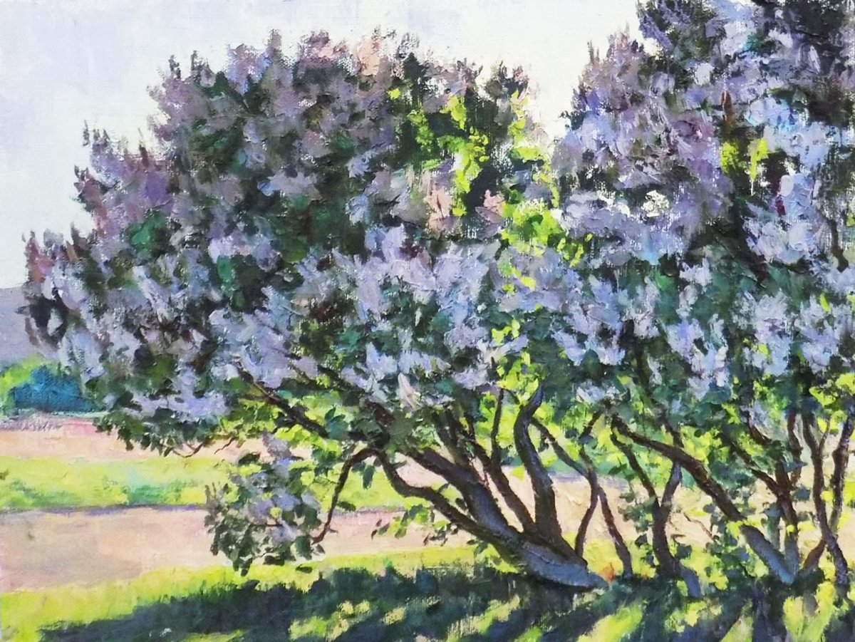 Сирень гравюра