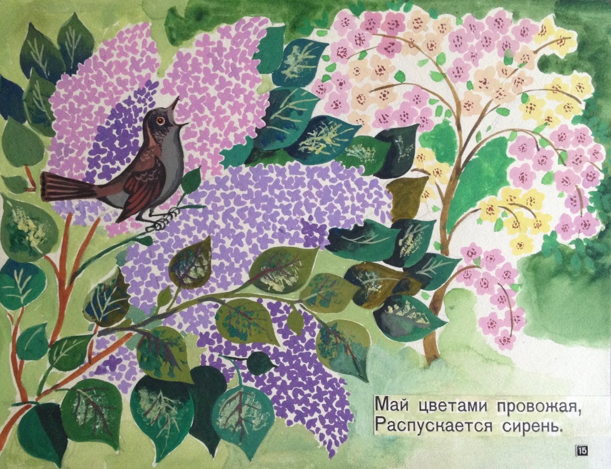 Куст сирени в цвету Ларионов