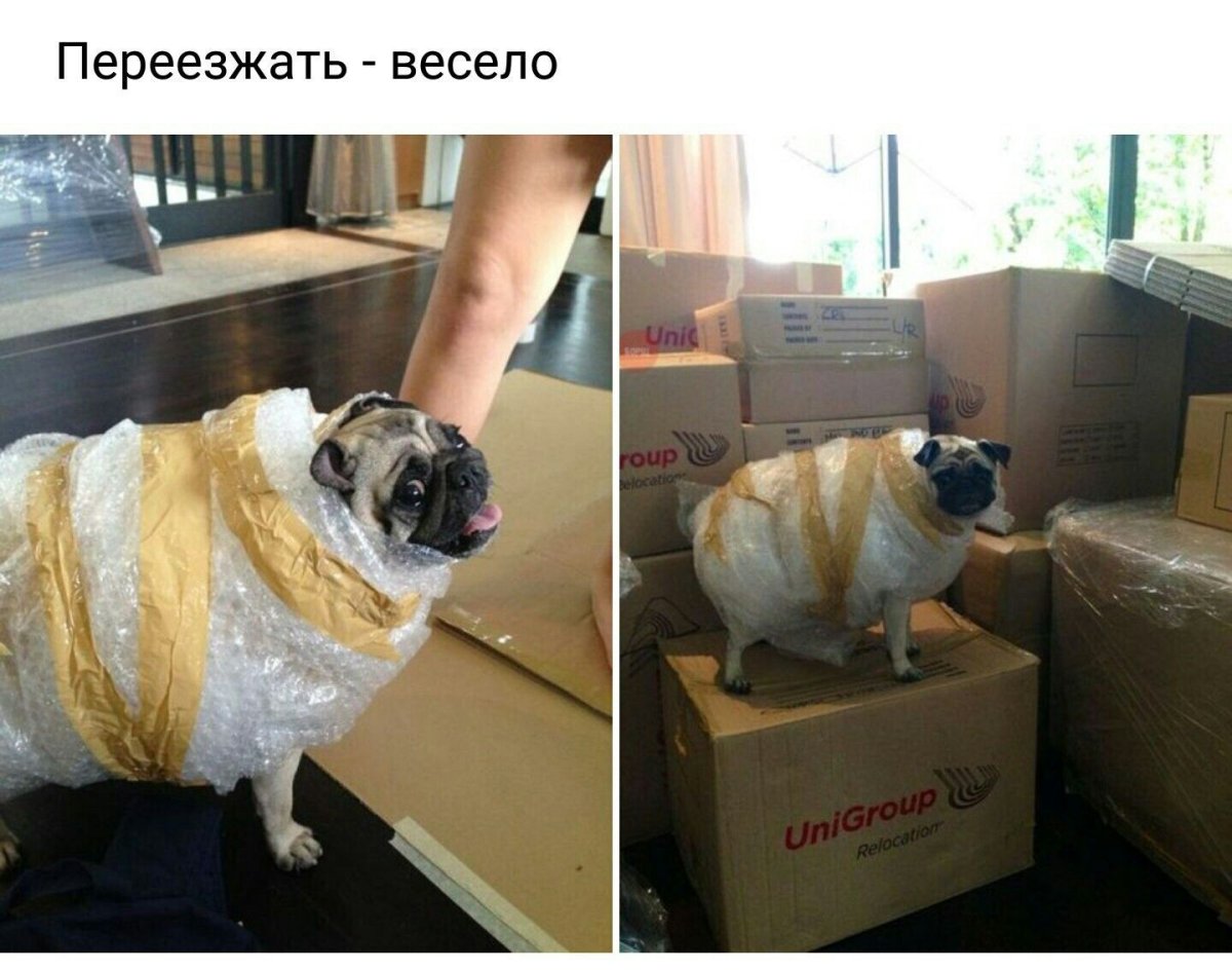 С днем работника ЖКХ поздравления