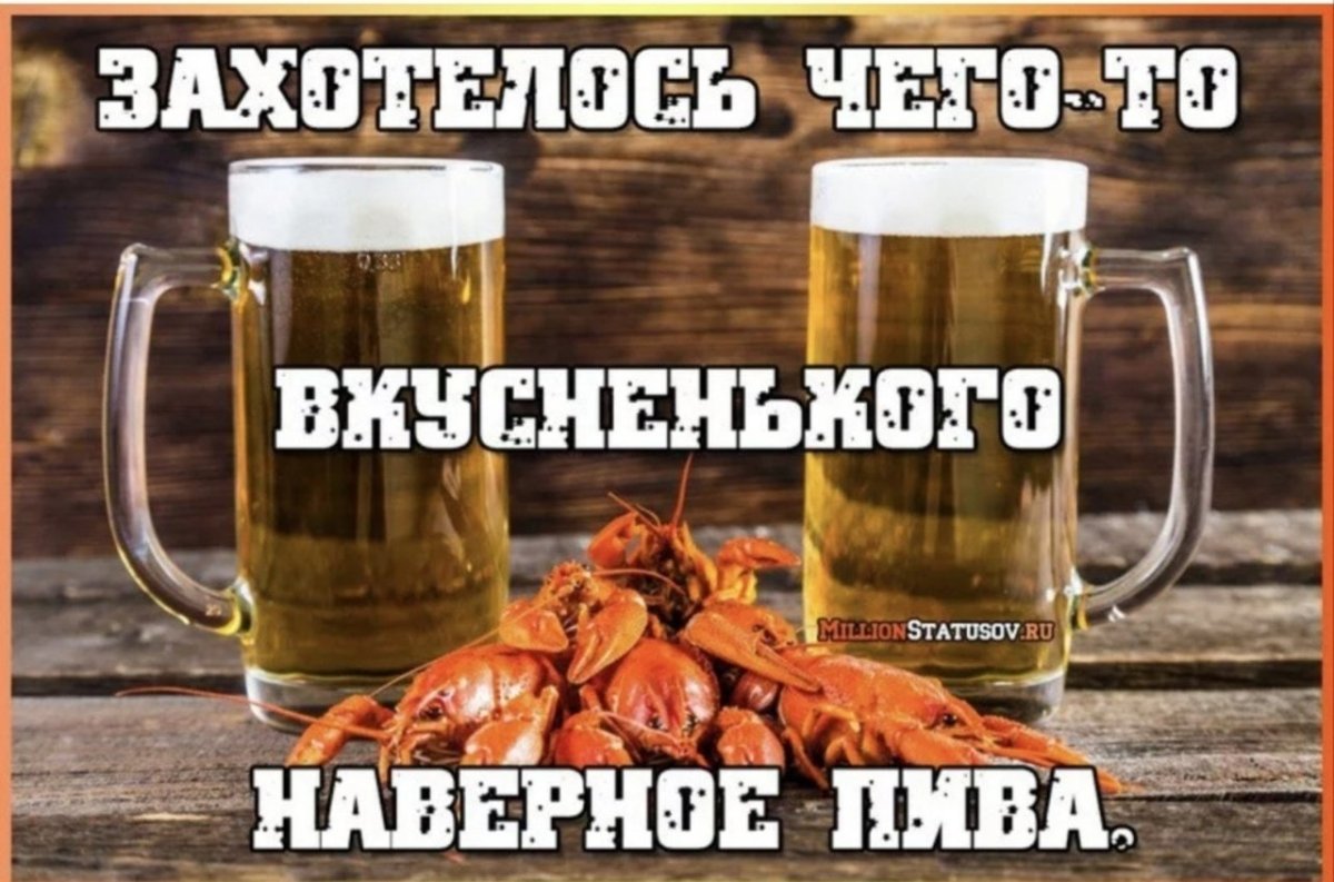 Кот с бокалом