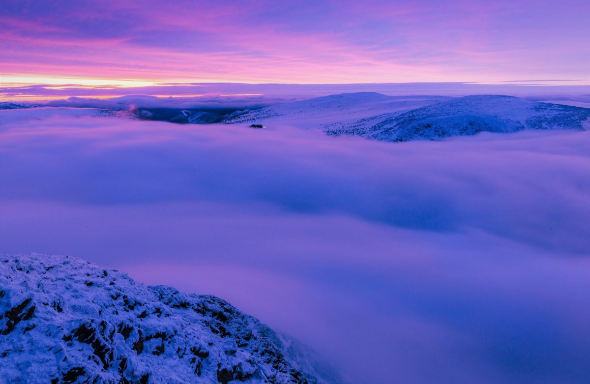 Арктика Арктическая пустыня