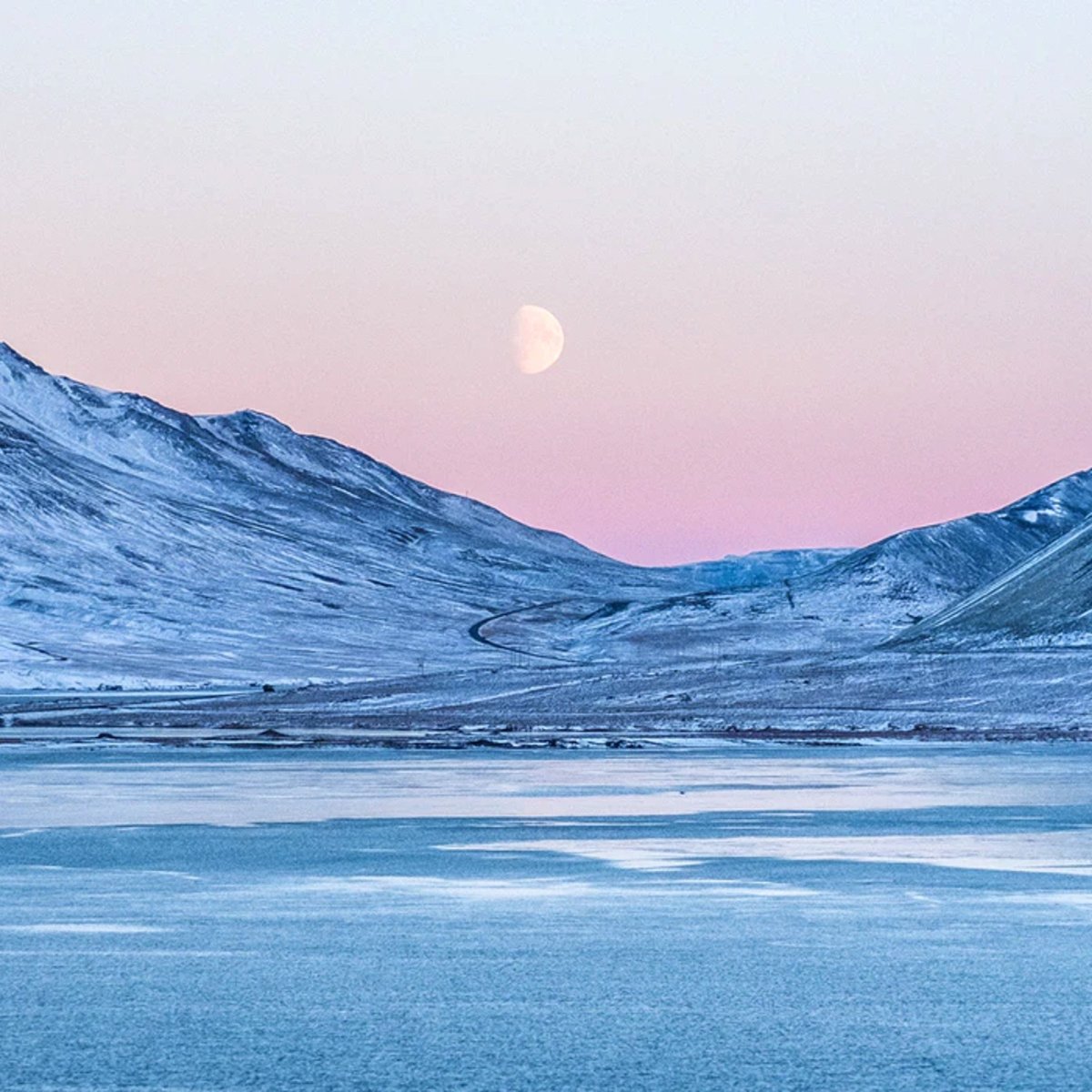 Зона арктических пустынь