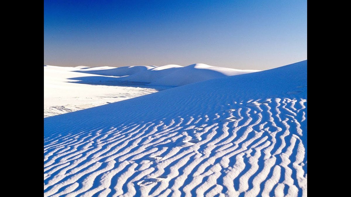 Видеоурок арктические пустыни