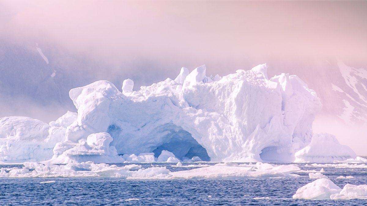 Арктические пустыни