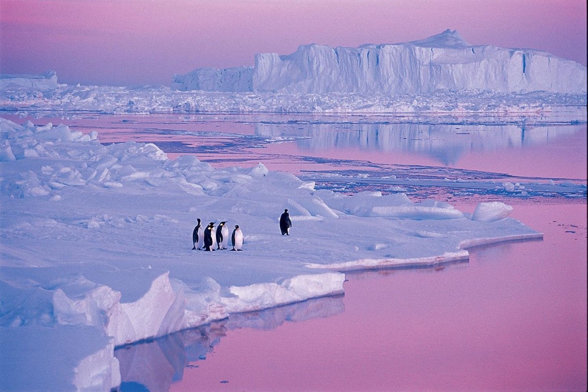 Antarctica — Антарктида