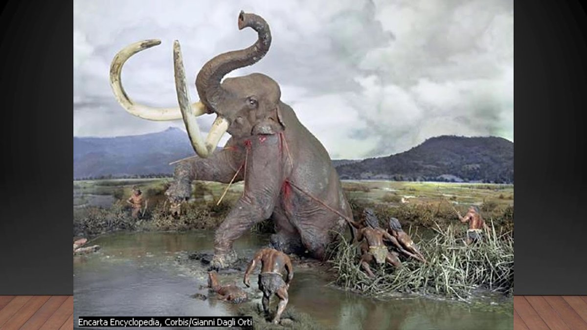 Зденек Буриан олень