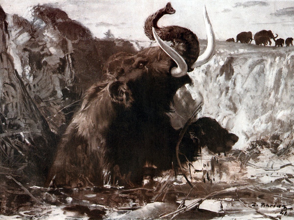 Троглодит выслеживающий мамонта