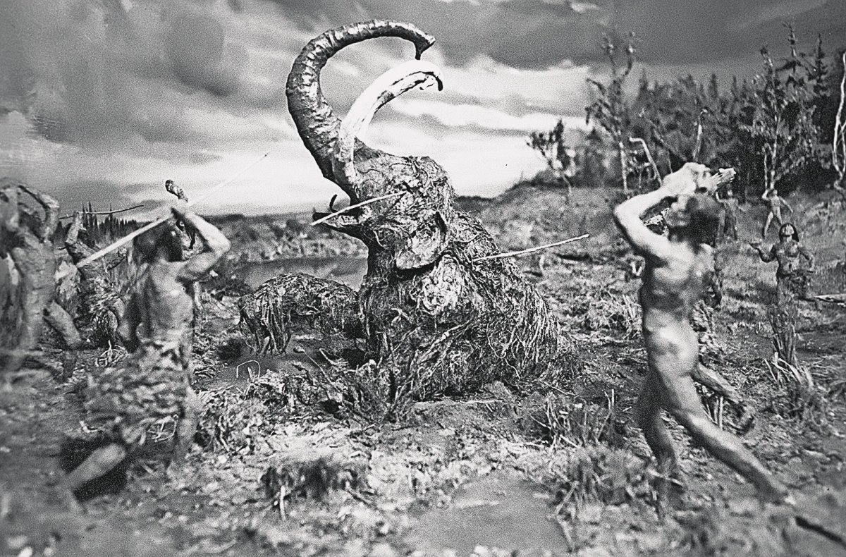 Животные ледникового периода Сочи