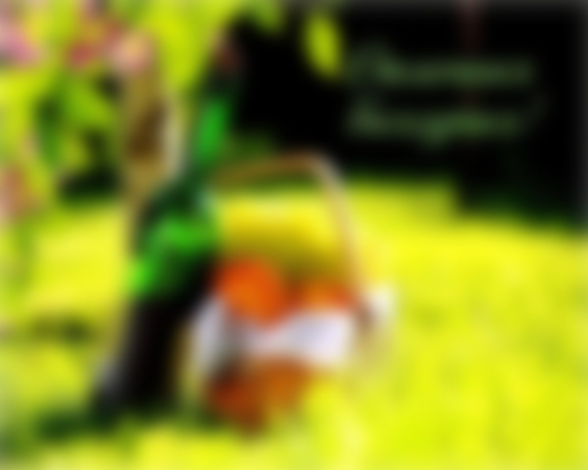 Хороших выходных