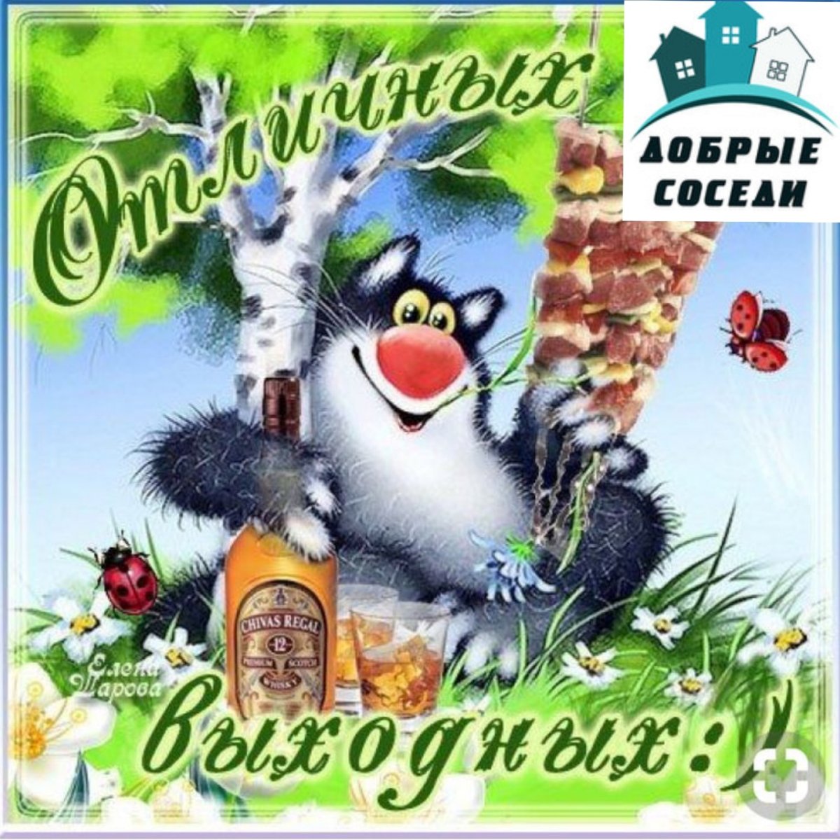 Открытки с воскресеньем прикольные