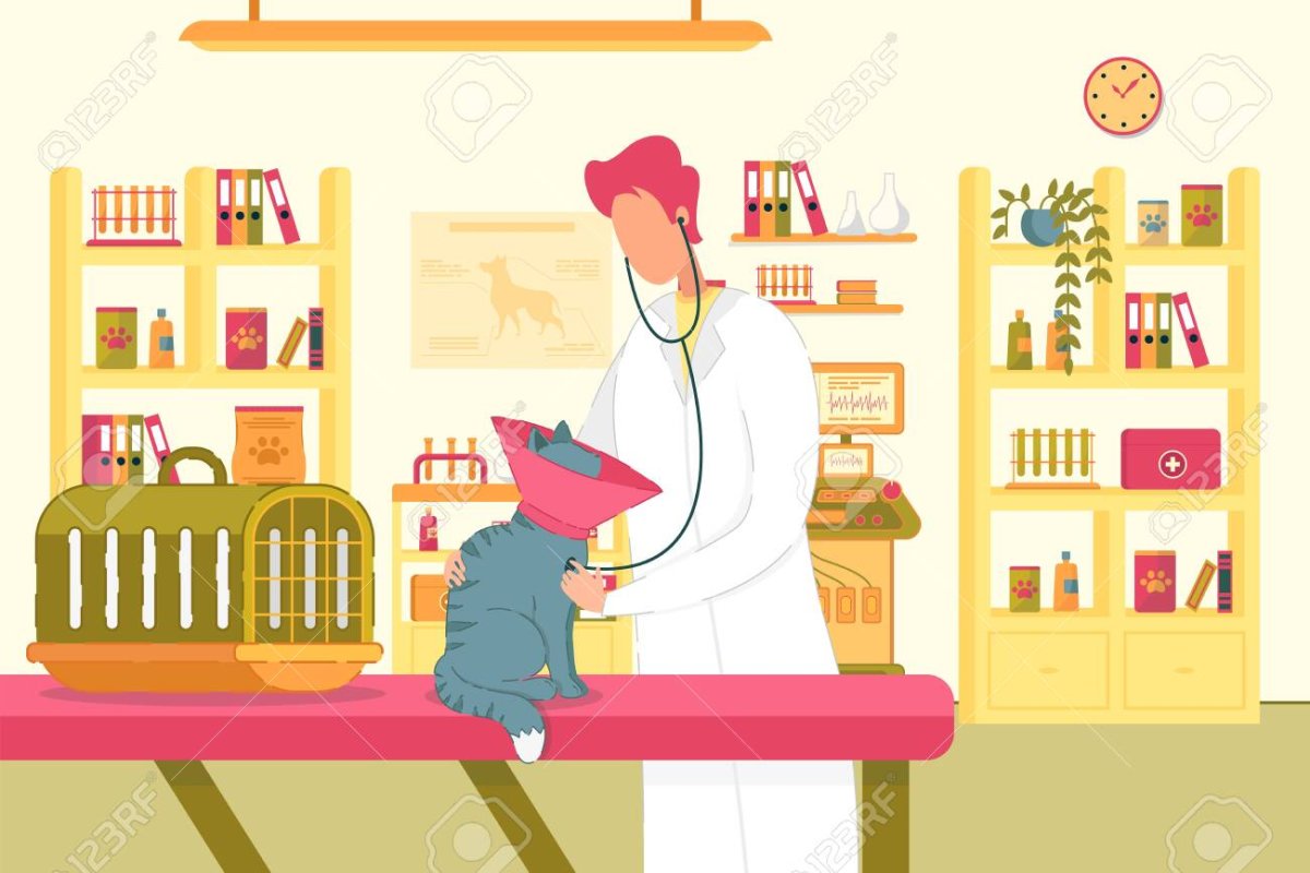 Ветеринар картинки для детей