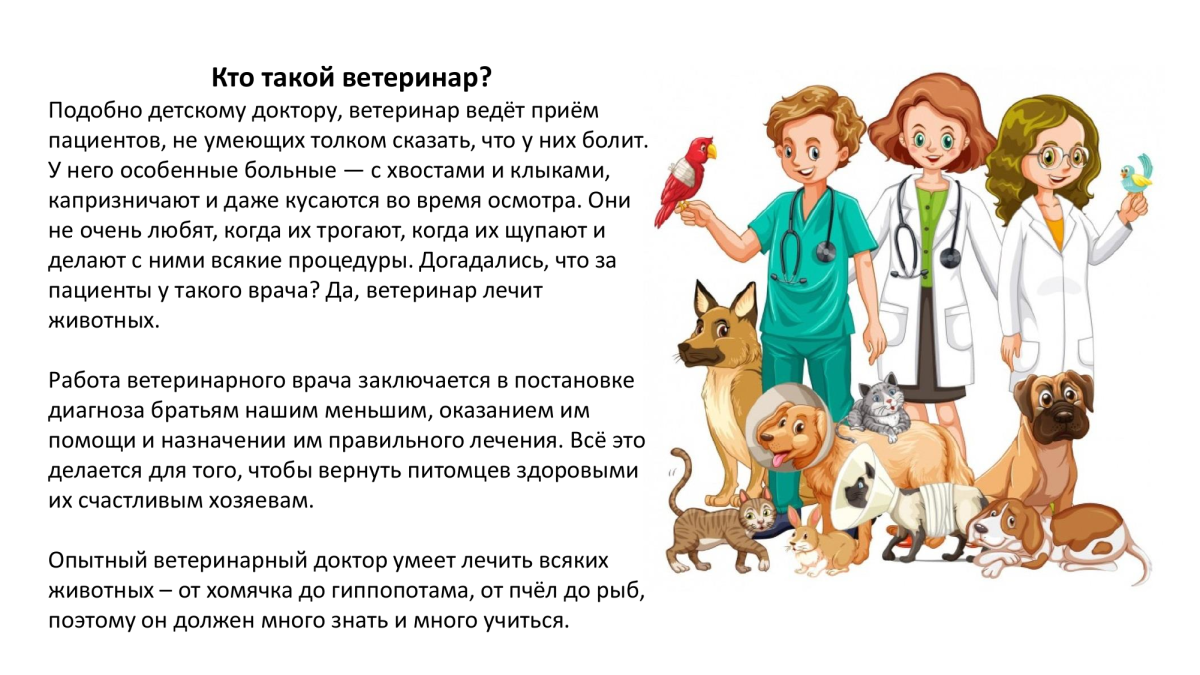 Ветеринар cartoon